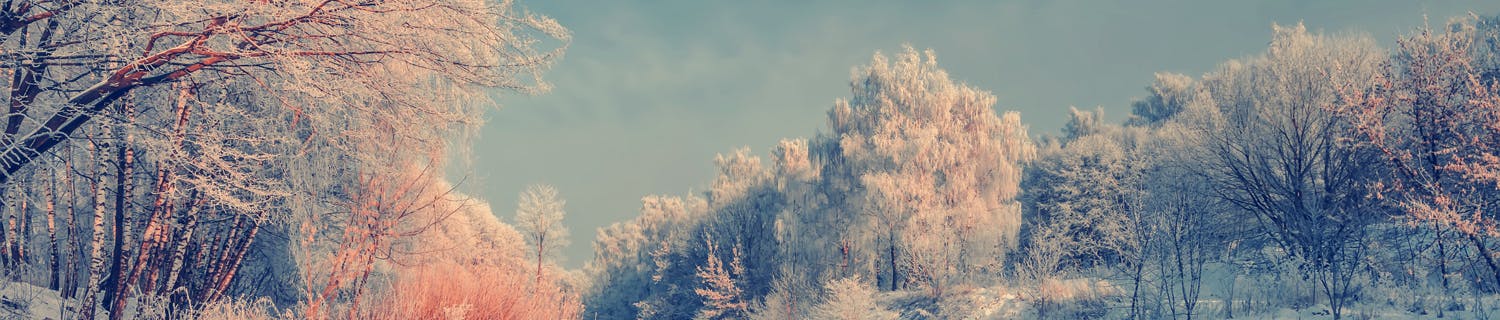 Snølandskap med en elv og snødekte trær